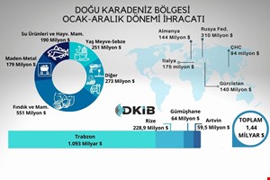 2022 YILINDA DOĞU KARADENİZ BÖLGESİNDEN   GERÇEKLEŞEN İHRACAT